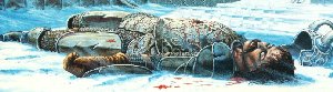 Sturm Brightblade morto
